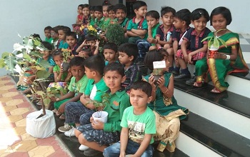 Green Day celebration